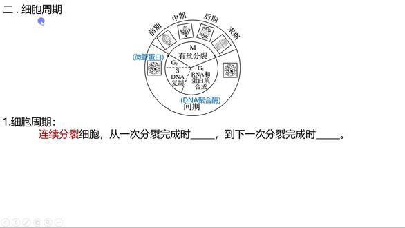 19.2细胞周期 【🔥你以为有丝分裂就是“染色体复制后平均分配”?它的“五大阶段舞蹈”可能比你想象的更精密!】
“后期着丝点分裂导致DNA数目加倍?”“动植物细胞有丝分裂完全一样?”
别让模糊阶段拖后腿!《有丝分裂》全过程+数量变化+实验观察终极攻略!
✅ 一张图串联五大阶段:间期(G1/S/G2)→前期(膜仁消失现两体)→中期(形定数晰赤道齐)→后期(点裂数加均两极)→末期(两消两现重开始)
✅ 动植物细胞关键差异:
纺锤体形成:植物→细胞两极发出纺锤丝;动物→中心体发出星射线
细胞分裂方式:植物→形成细胞板→细胞壁;动物→细胞膜内陷缢裂
✅ 实验操作避坑指南:解离→漂洗→染色→制片,记住“中期”是观察染色体形态数目的最佳时期!
附判断题自测:动物细胞有丝分裂前期,两组中心粒分开移向细胞两极。(√)
掌握这场“染色体精密舞蹈”的全流程,从此细胞增殖大题稳拿过程分!
👉点击合集跟紧复习,评论区留下你最容易混淆的有丝分裂时期或数据变化!#高中生物 #有丝分裂 #细胞周期 #一轮复习