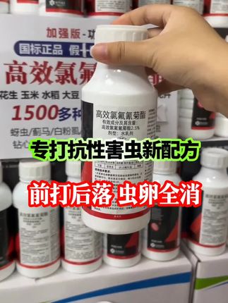 专打抗性害虫新配方来了#高效氯氟氰菊酯 一瓶500克兑水300斤,前打后落,虫卵全消,不伤瓜果效果好#杀虫剂 #白粉虱 #蓟马 #三农