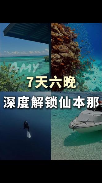 第一次出国 马来西亚仙本那潜水旅游指南 #潜水 #旅游 #旅行推荐官 #仙本那 #马来西亚