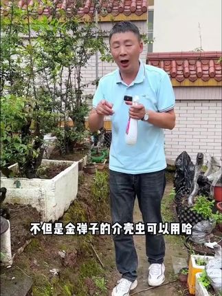 【只杀虫不伤花】虫虫净杀虫水乳剂喷雾花卉多肉小飞虫植物通用喷雾