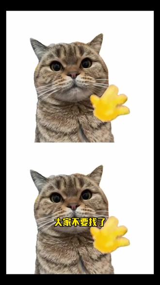 新年就用hello打招呼教程来啦 #hello挥手动作的动画 #小猫hello怎么做 #hello小猫动态图 #新年就用hello打招呼 #剪映 hello小猫表情包制作教程,hello猫模板下载,hello猫模板怎么用,hello猫表情包,hello猫动态壁纸,hello猫背景图,hello猫手机壁纸,hello猫图片大全,hello猫使用教程,hello哈基米
hello小猫表情包制作教程
hello猫模板下载
hello猫模板怎么用
hello猫表情包
hello猫动态壁纸
hello猫背景图
hello猫手机壁纸
hello猫图片大全
hello猫使用教程
hello哈基米