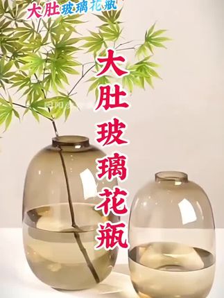 #dou上热门 #养花小知识 #花瓶摆件 #好物推荐🔥 #室内绿植 @DOU+小助手