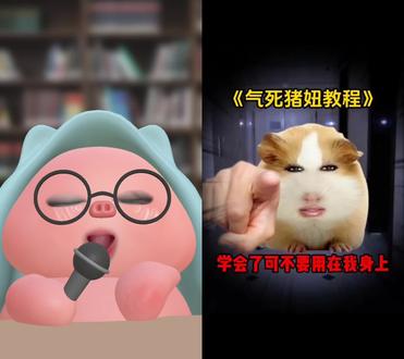 和 @泽墨酱 一起 #合拍 #抽象 #猪妞