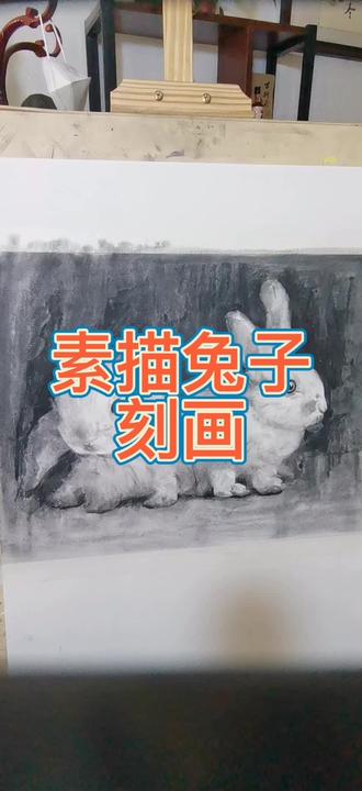 #美术生 #画画 #素描 素描兔子画法