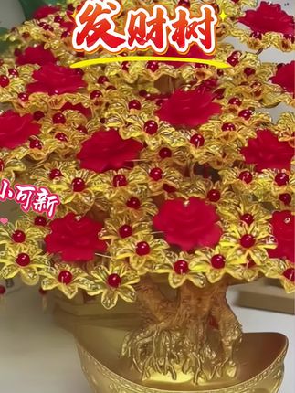 #超便宜超划算 #发财树
