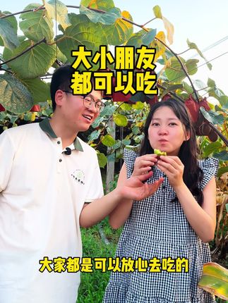分享大大的好消息 #翠香猕猴桃 #孕妇水果