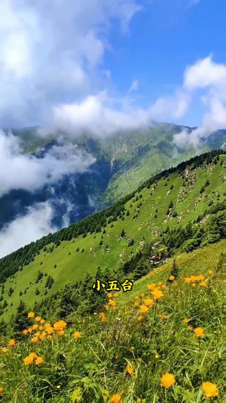 河北最美的20个景点,孤独累了就去走走#治愈系风景 #河北旅游 #河北旅游攻略 #这么近那么美周末到河北 #旅行推荐官