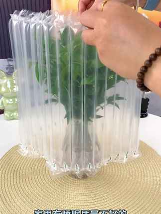 #竹柏 是出了名的耐阴绿植,摆在家里十分好看,喜欢的宝子们赶紧安排起来#水培植物 #爱生活爱养花