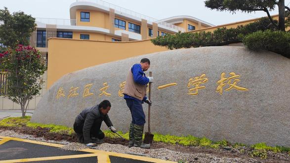 椒江文昌小学校门口花境种植 #花境设计