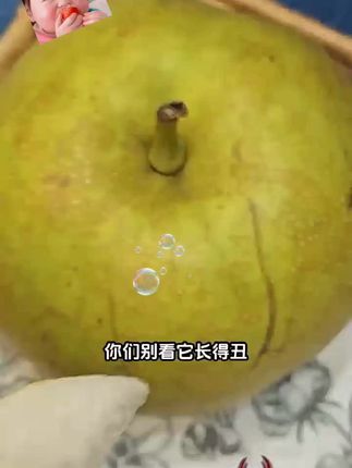 你们别看它长得丑,但是真的很好吃!这个就是来自咱们山东的丑梨,每一个都是这种皮薄肉厚、汁水丰富,吃起来清甜爽口,嘎嘣脆。它是自然生长的,所以个个长得都丑萌丑萌的,咬上一口真的是爆汁!现在正是当季的时候,喜欢的朋友赶紧安排回尝吧!