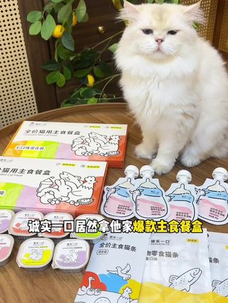 诚实一口居然拿他家新品主食餐盒组了个湿粮大礼包!这么多小猫爱吃的!你看链接才多少#新手养宠 #科学养宠 #诚实一口