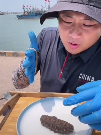 海参#海参 #海参养殖 #海参批发 #海参炒面 #海参泡发