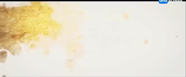 唐诗三百首《望岳》 #唐诗三百首