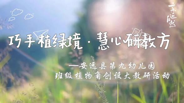 植物角创设大教研#幼儿园大教研