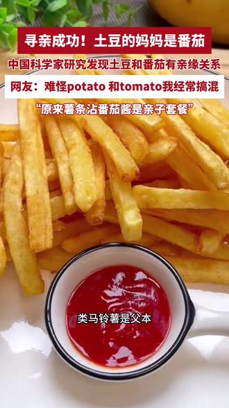 寻亲成功!土豆的妈妈是番茄。中国科学家研究发现,土豆和番茄有亲缘关系。网友:原来薯条蘸番茄酱是亲子套餐(来源 央视主播说三农 编辑 王春红)