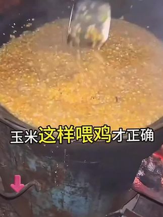 钙磷十八补鸡鸭鹅减少啄蛋啄羽猪牛羊干吃不长补钙磷元素添加剂#钙磷十八补 #鸡鸭鹅补钙 #元素添加剂 #鸡鸭鹅补钙元素添加剂 #钙磷十八补推荐