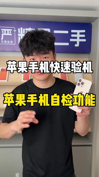 苹果手机怎么快速进行自检 你一定要自检你的苹果手机#苹果验机 #iphone验机教程 #数码科技 #苹果手机 #苹果手机验机流程和方法