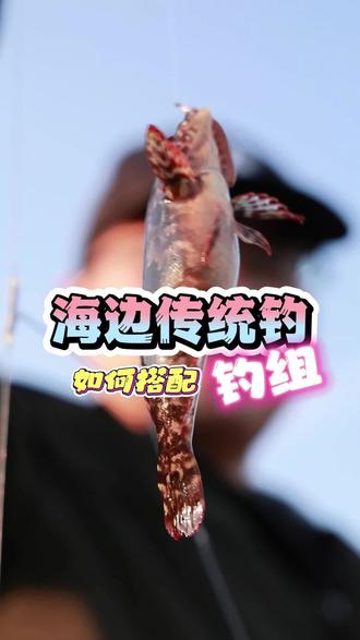 在海边玩传统钓,钓组的重量和类型应该如何搭配?#传统钓 #路亚 #钓鱼 #户外运动