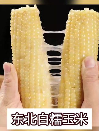 #新鲜甜糯玉米 #玉米 #软糯香甜