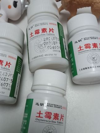 #养殖人 #养狗的乐趣 #养狗日常 #养狗经验分享 #宠物知识