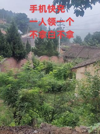 #无限回购的宝藏单品 手机快充,一个号可撸一份,快薅起来呀!#快充 #超级快充 #爆款热卖中 #充电器