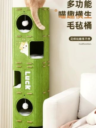 元宝:那明明是母老虎! #话痨猫#元宝话很多 #万物可爱计划