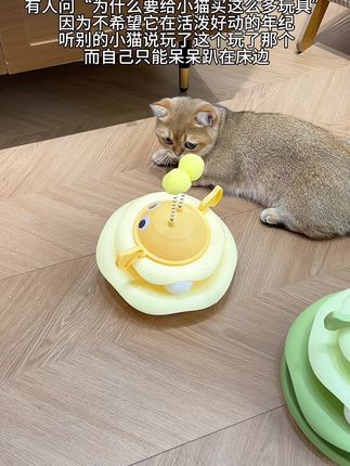 白天让猫咪玩一玩,晚上也不影响我们睡觉了#猫咪#猫玩具