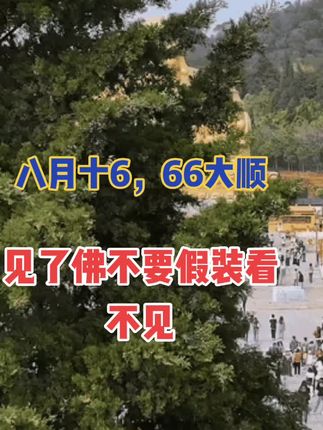 8月10666大顺