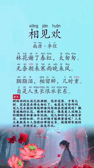 《相见欢》1 #热门古诗词100爆款 #古诗词的魅力 #古诗词 #国学文化 #国学经典