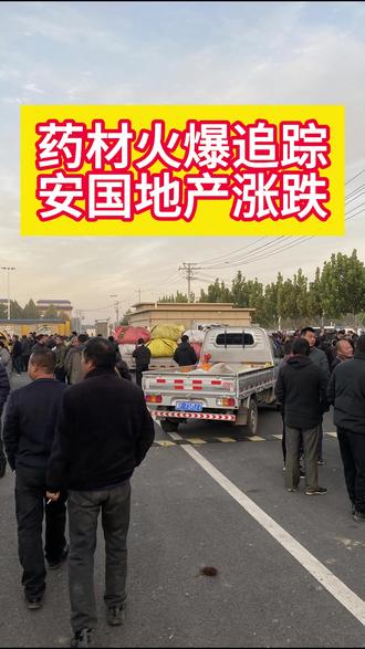 #种植技术 #安国中药材大集