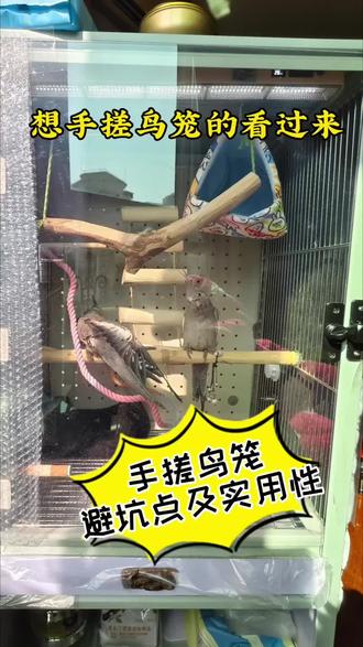 给新手手搓党一些不成熟的避坑指南,视频后面还有关于保温和灯光的实用性建议,记得看完哦#手搓鸟笼 #手作diy #手养鹦鹉#一般人不告诉他
