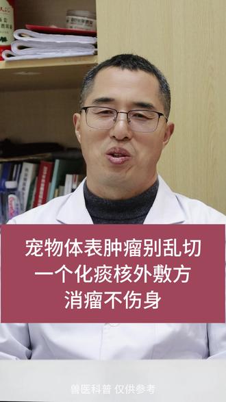宠物体表肿瘤别乱切,一个化痰核外敷方,消瘤不伤身 #宠物医生 #中兽医 #宠物