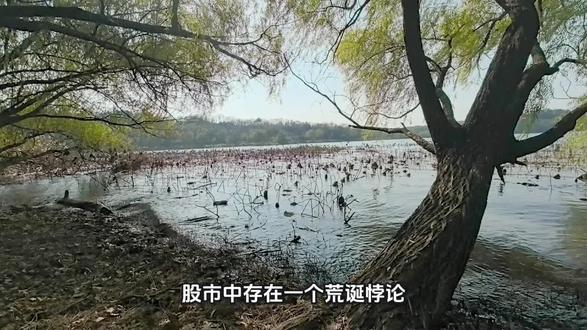 股市真相:散户亏损的根源与破局之道 #股票