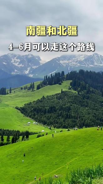 新疆 南疆北疆可以看看这个顺序#新疆旅游攻略#新疆旅游推荐官#南疆旅游攻略#新疆避坑指南#南疆杏花