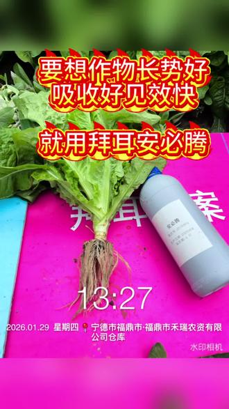 吸收好,起效快,就用安必腾。#拜耳德来周#安必腾 #拜耳根域守护
