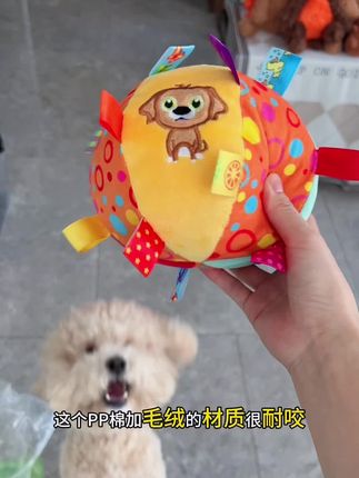 全网人手一个的响铃球#养狗经验分享 #科学养宠