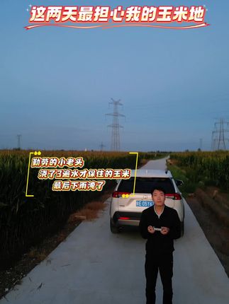这两天最担心我的玉米地 勤劳的小老头,浇了3遍水才保住的玉米,最后下雨淹了。#原创视频 #三农 #涝灾 #玉米地 #雨季