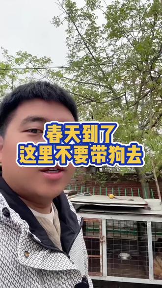 #狗狗#养狗经验分享 #新手养狗 这个季节就不要带狗狗去草坪上