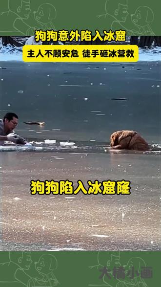 狗狗掉入冰窟,主人徒手砸冰营救 狗狗不仅仅是宠物,更是家人#画一个故事 #万物皆有灵性 #万万没想到 #狗狗 #宠物