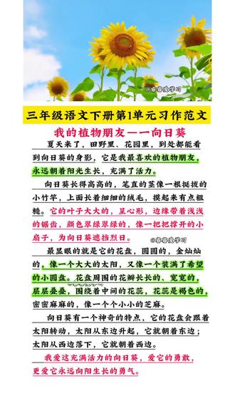 三年级下册语文第一单元《我的植物朋友》小练笔范文#三年级下册语文 #我的植物朋友 #小练笔范文 #仿写小练笔