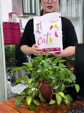 你家猫咪还是掉的猫毛满天飞吗?宠大花猫粮美毛亮毛减少掉毛#猫粮 #良心推荐 #宠物食品