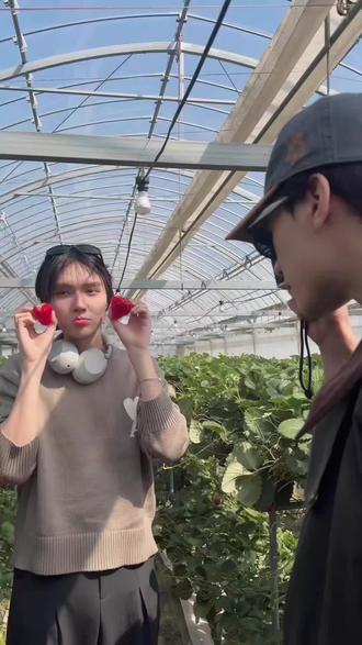 DMD各家孩子草莓🍓园小合集 草莓真的好吃 特别是“进口”的😍😍 20260321 #dmd#日常分享 #kengnamping #zeenunew #麦叔奶特