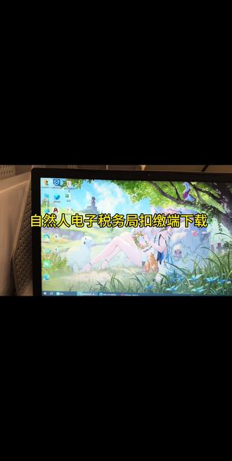 #电子税务局操作 自然人电子税局扣缴端如何下载