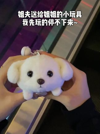 SHOMARNE小白狗捏捏乐,会摇尾吱吱叫,当车载摆件超萌! #捏捏乐小礼物 #SHOMARNE型麦 #送礼好选择 #型麦玩具饰品 #会摇尾玩具