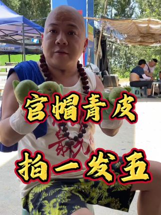 #文玩爱好者 #青皮核桃 #文玩核桃 青皮官帽 拍一发五 尺寸可选 #麒麟纹官帽
