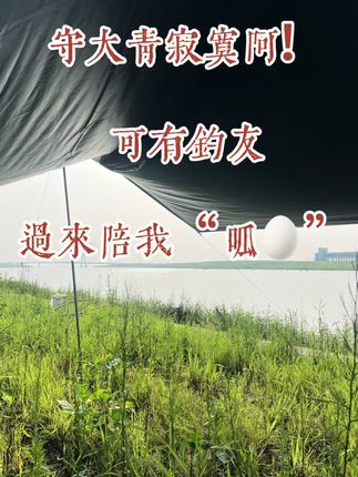 #上热门话题🔥🔥🔥 #户外钓鱼 #钓鱼人就是这么疯狂 #杭埠河钓鱼 #户外钓鱼