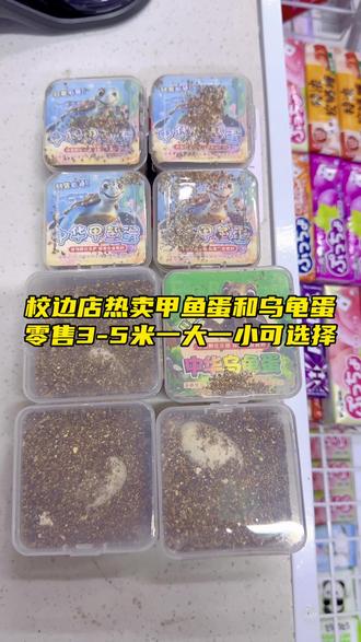 校边店热卖的乌龟蛋🥚甲鱼🥚˶╹ꇴ╹˶!零售3-5米很受小朋友欢迎👏都喜欢买这种可以孵化的小玩意😊#好物推荐 #热卖中的爆款 #乌龟蛋 #甲鱼蛋 #乌龟组合