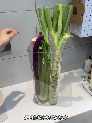山药,大葱,莴苣等等长条形的蔬菜终于有专门的收纳桶了,不占空间还不会搞的到处都是泥巴,太好用了#厨房好物 #蔬菜收纳#蔬菜置物架#种草