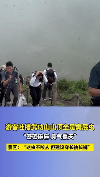 游客吐槽武功山山顶全是臭屁虫,“密密麻麻 臭气熏天”。
景区:“这虫不咬人 但建议穿长袖长裤”。