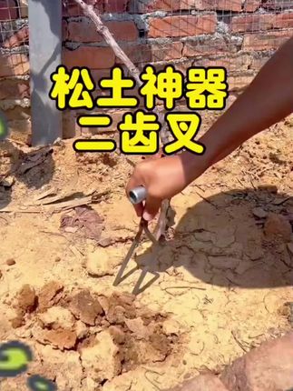 #创作灵感 #手持两齿松土叉 # 不锈钢铲 种地养花松土除草#手持两齿送土叉